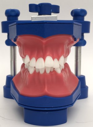 NEC ODONTO - LIVIA VALENTIM (TYP004)