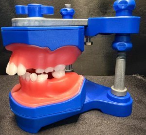 Profa. Priscila Brandão - Aperfeiçoamento em Ortopedia Funcional dos Maxilares para o de dentição Mista (Typ075)