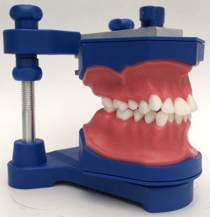 FANTASTIC ORTO - TERCEIRO CASO (TYP004)