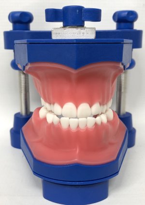 Prof. Carlos Pascoal -Curso Capacitação (Typ044). Ceproeducar