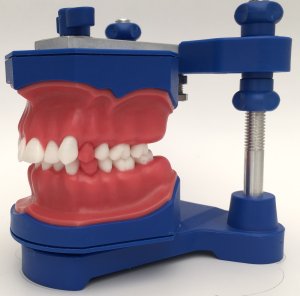 FANTASTIC ORTO - PRIMEIRO CASO (TYP005)