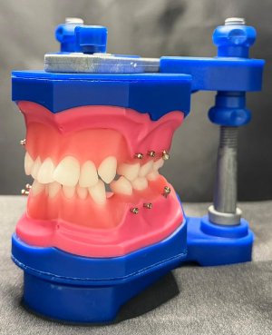 Prof. Henrique Campos Eto (Typ068)