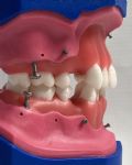 Foto Instituto Kikuchi (typ040) Especializao em ortodontia 